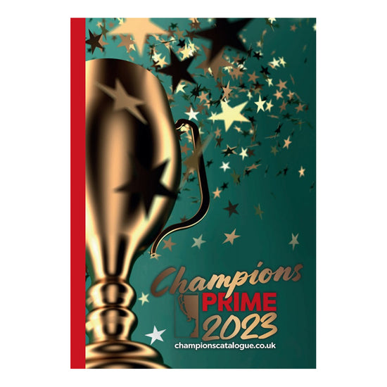 awards-for-champions-23